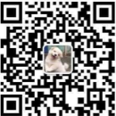 对标亚马逊、沃尔玛，拉美电商巨头Mercado Libre 4.2亿美元投资墨西哥