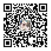 拉美电商巨头Mercado Libre开设哥伦比亚本地仓，以加快在线购物发货速度