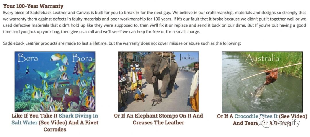 Shopify店铺分享 | 10个精华案例，教你找到自家Unique Selling Proposition (独特卖点/USP)