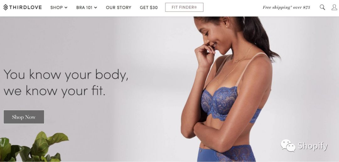 Shopify店铺分享 | 10个精华案例，教你找到自家Unique Selling Proposition (独特卖点/USP)