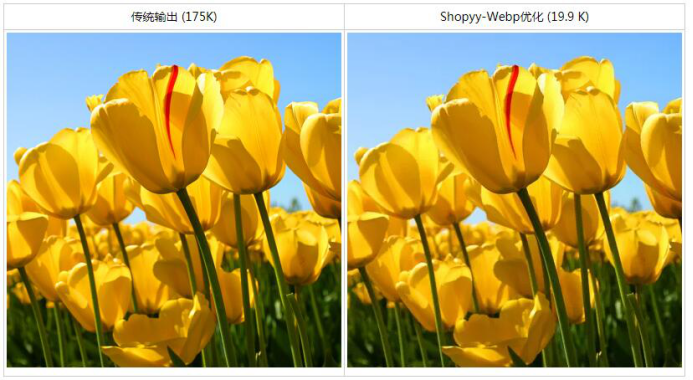 如何提升Shopify和SHOPYY系统的访问速度，并提高谷歌评分