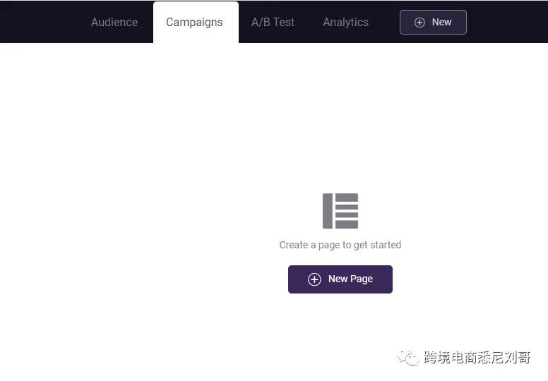 如何避开Shopify的敏感产品审查-单页系统