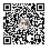 疫情下，拉美电商平台Mercado Libre消毒用品销量暴涨400%！