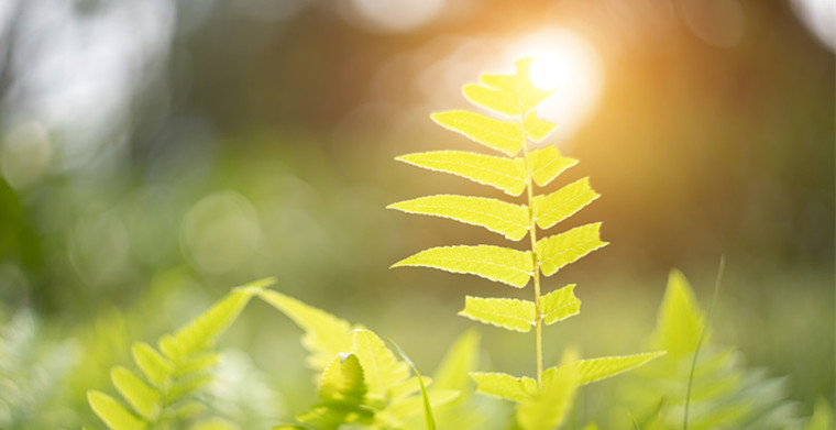 欧洲确诊超20万例，解读疫情对中国外贸出口的影响