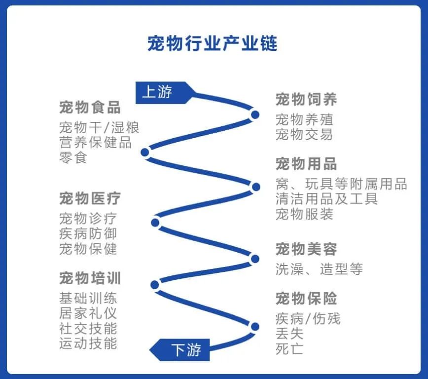 遛狗遛鸡遛乌龟还遛荷兰猪？国外高地位宠物带来无限商机