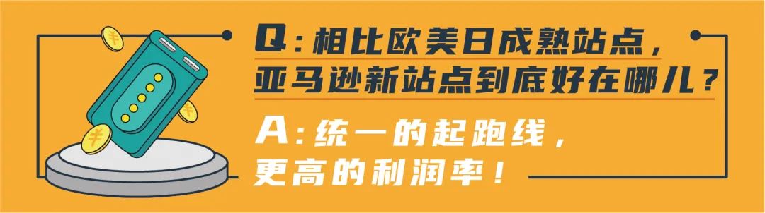 半年冲进亚马逊新站点Top20，这位卖家利润率高达40%的秘诀都在这！