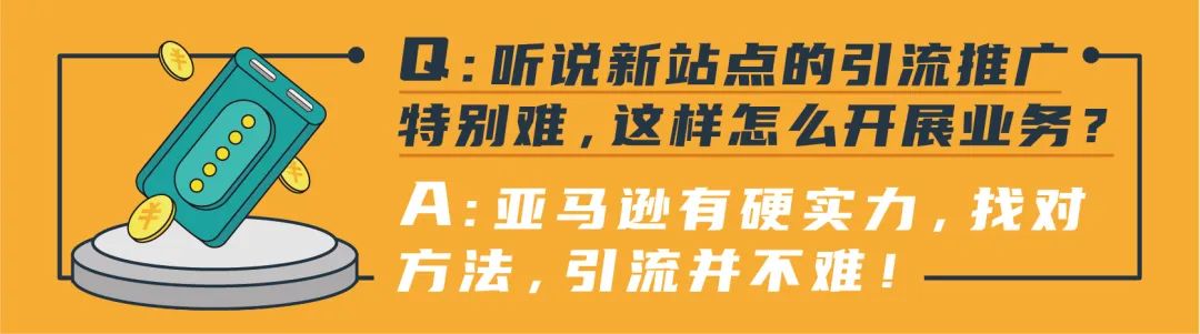 半年冲进亚马逊新站点Top20，这位卖家利润率高达40%的秘诀都在这！