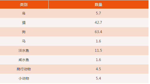 入仓限制也能排除，宠物用品究竟有何独特之处？