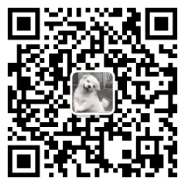 難逃運費上漲，疫情下的拉美電商動態(tài)，Mercado Libre給了幾點建議