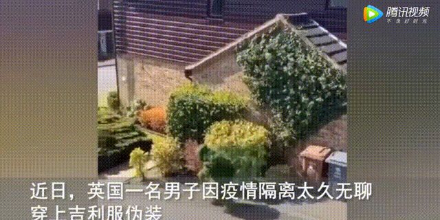震惊！为了对抗新冠，外国人都豁出去了