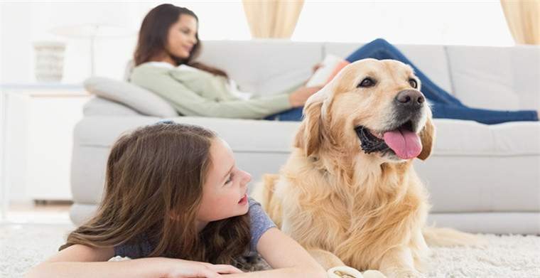 跨境电商新机遇——宅经济