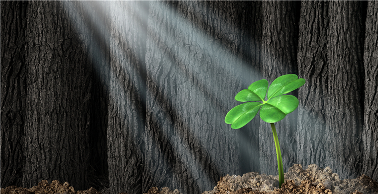 欧洲站开放FBA！欧美9国开始放宽解禁复工复产，跨境电商卖家可抓住哪些机遇？