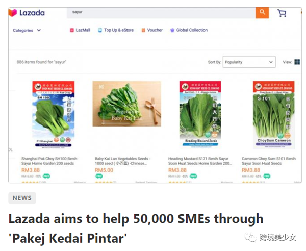 Shopee定价超低，新手很绝望|疫情下东南亚电商卖家自救第40天