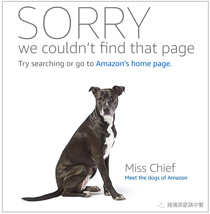 亚马逊这几个类目的火热产品有哪些