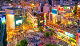 逛杂货店，酷爱积分，日本消费者三大场景选品分析