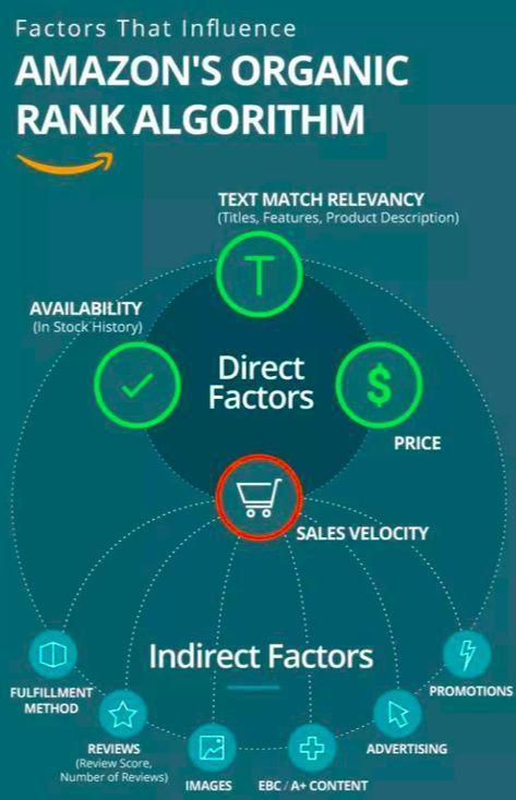 怎么做亚马逊店铺运营，怎么做亚马逊测评服务