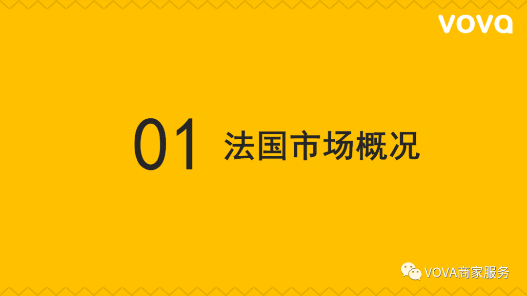 VOVA法国市场特征、用户画像分析以及选品建议