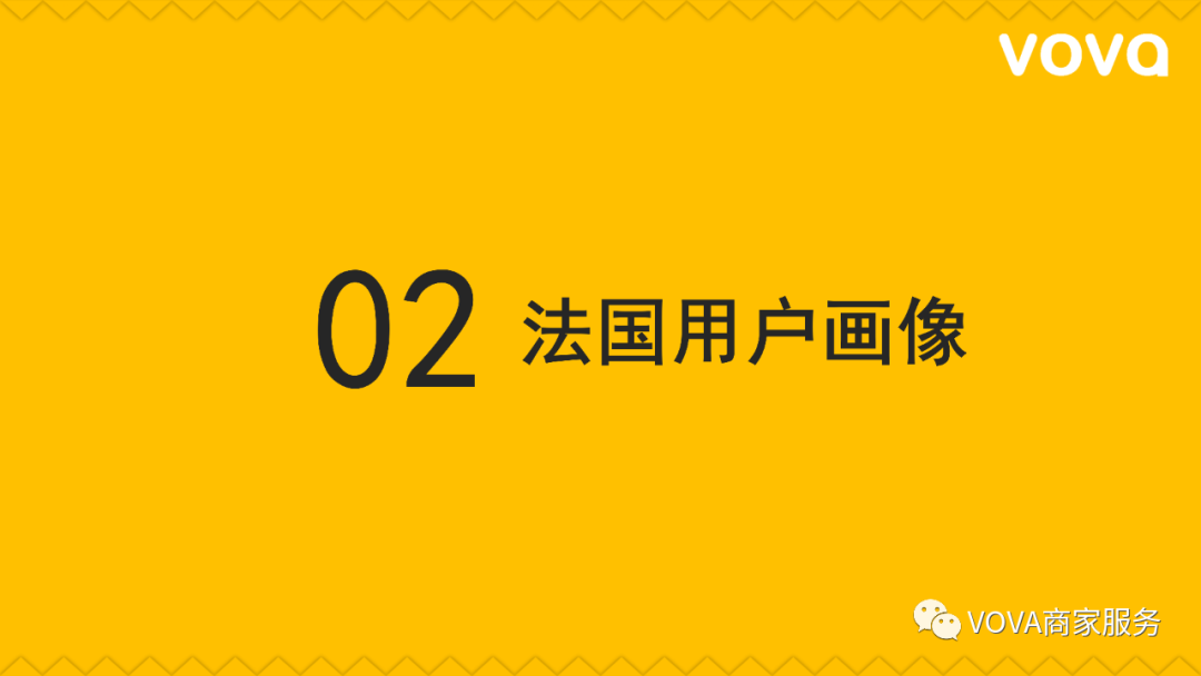 VOVA法国市场特征、用户画像分析以及选品建议