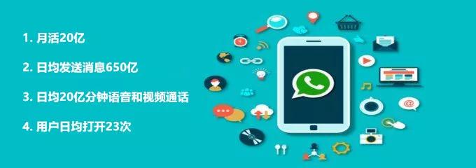 WhatsApp营销策略–如何进行WhatsApp营销[入门指南]