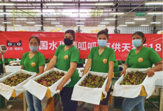 泰国政府参与天猫618，开通跨境“水果专列”直送中国