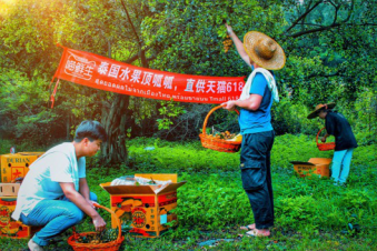 泰国政府参与天猫618，开通跨境“水果专列”直送中国