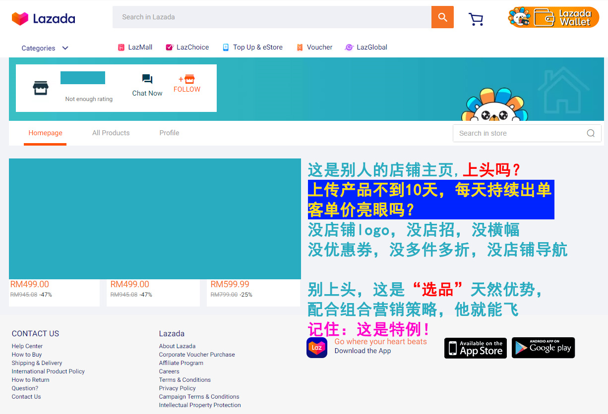 做Lazada赚钱的都是什么样的卖家？