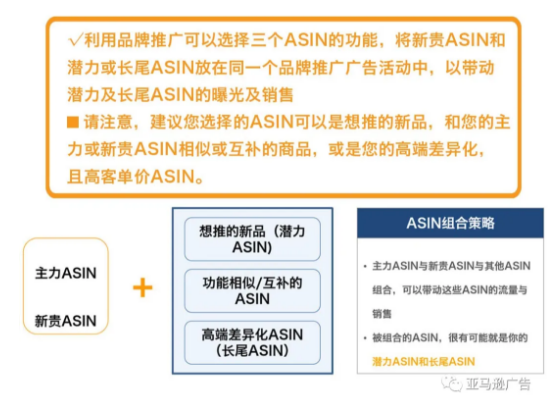 预算有限，我该推新品打爆款还是发展潜力ASIN？