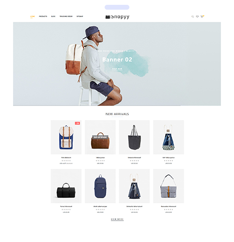 打造跨境電商獨立站點新生態(tài)：通聯(lián)支付與Shopyy攜手合作