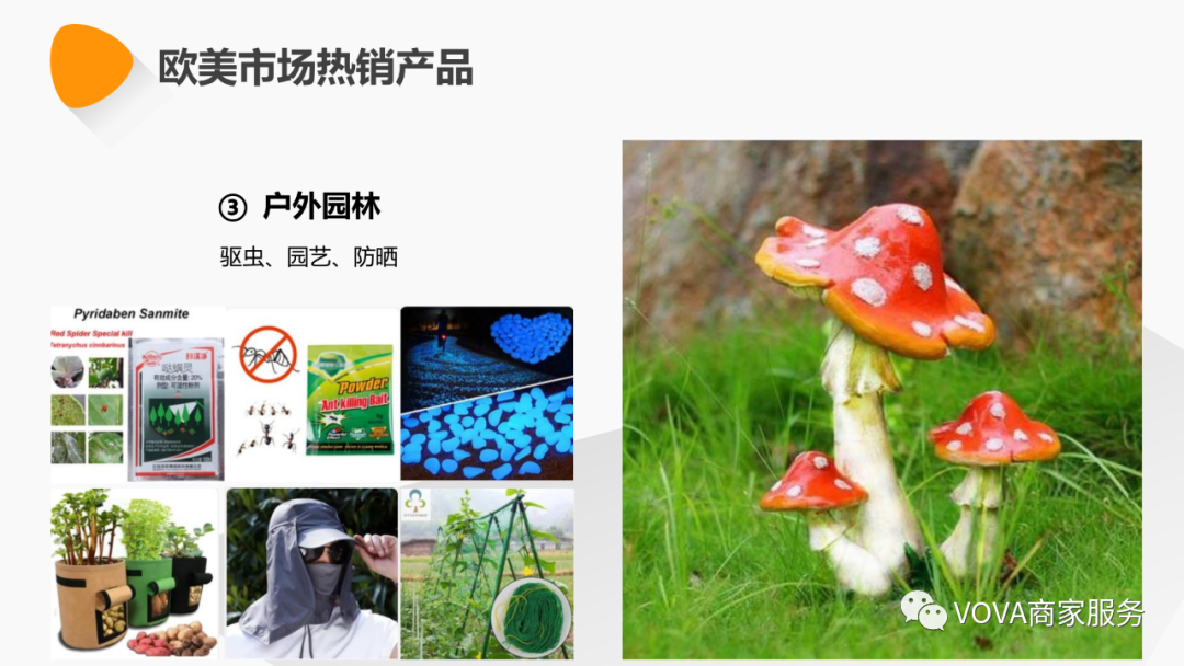 VOVA周报|本周热销产品、搜索动态及活动选品分析（更至6.11）