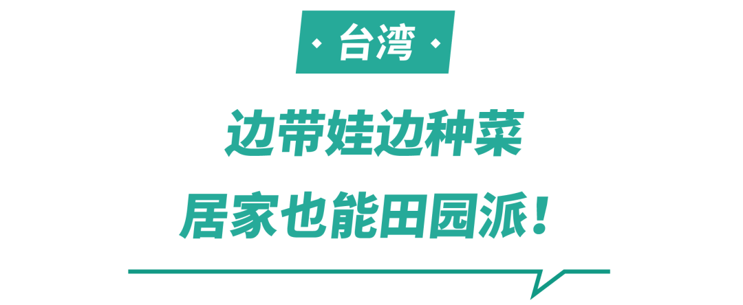 Shopee市場(chǎng)周報(bào) | 居家時(shí)期看家居~ 印尼臺(tái)灣泰國(guó)家居品類超熱搜商品曝光