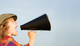 旺季产品大量被召回，除了误触侵权，还有这条碰不得的“红线”