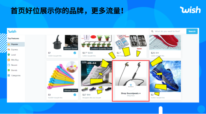 Wish & Payoneer品牌创造营，5亿用户带你C位出海！