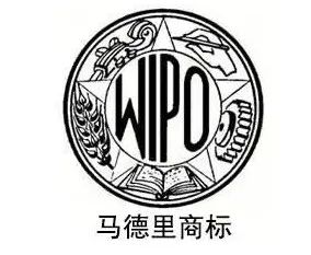 马德里商标注册：一次申请可指定多个国家，品牌保护一步到位！