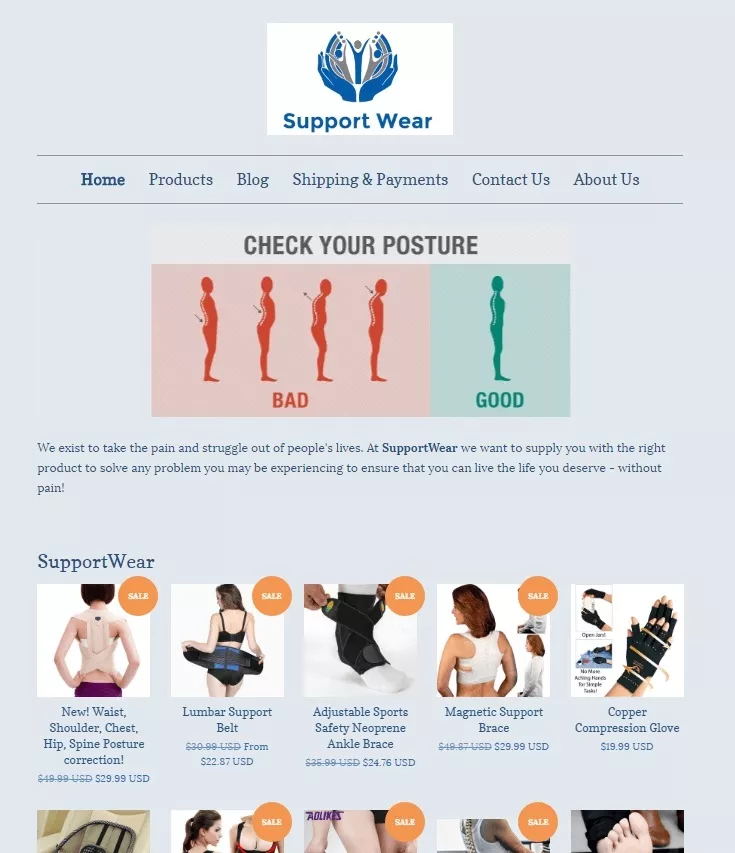 Shopify做Niche利基市场还是杂货铺？