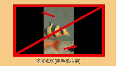 亞馬遜視頻制作高頻雷區(qū)，你真的避開了嗎？