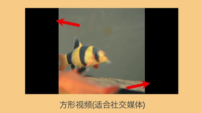 亞馬遜視頻制作高頻雷區(qū)，你真的避開了嗎？