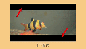 亞馬遜視頻制作高頻雷區(qū)，你真的避開了嗎？