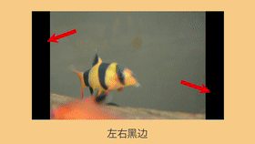 亞馬遜視頻制作高頻雷區(qū)，你真的避開了嗎？