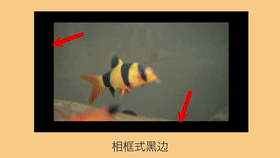 亞馬遜視頻制作高頻雷區(qū)，你真的避開了嗎？