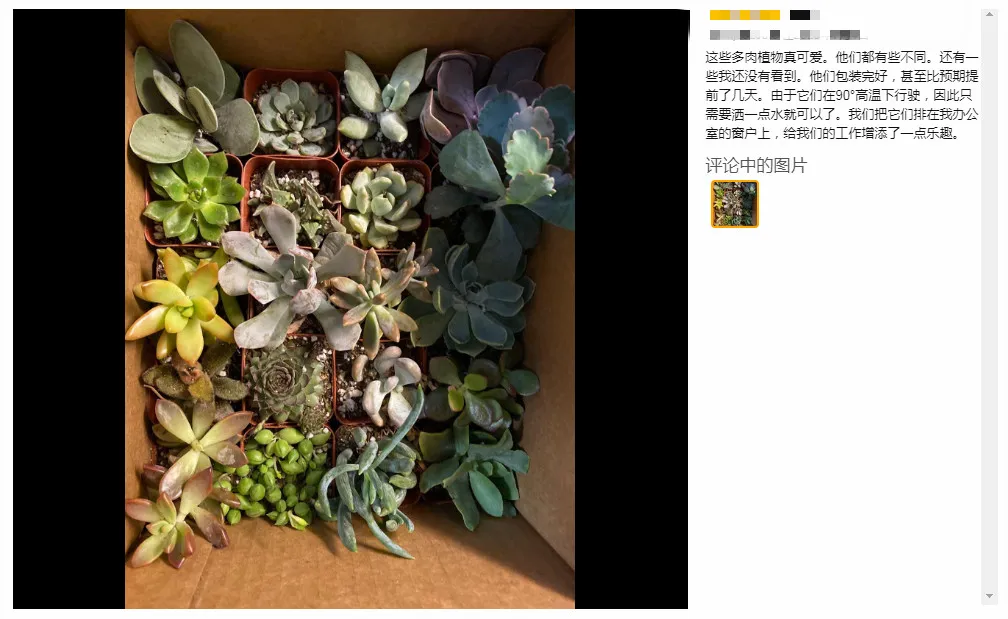 某中国产品众筹飙升30638%！堪称亚马逊潜力级爆款，太火了......