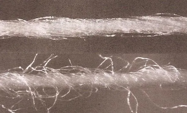 果子说归类，报关中化学纤维长丝和化学纤维短纤的区别及归类注意事项