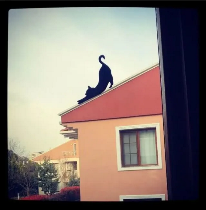 一场疫情过后，歪果人都成了在窗户上作画的艺术家