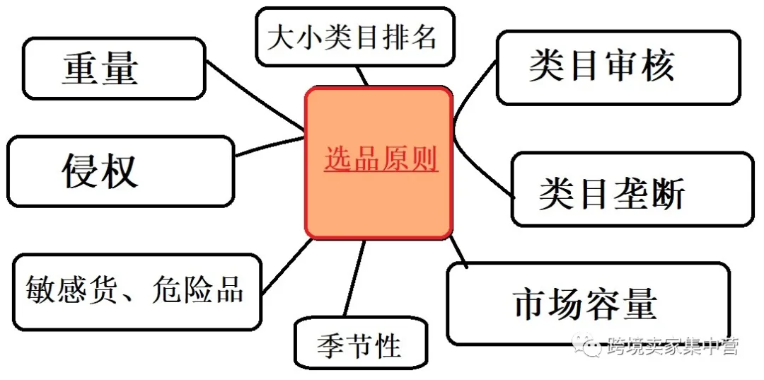 亚马逊新手卖家都可以使用的选品思路