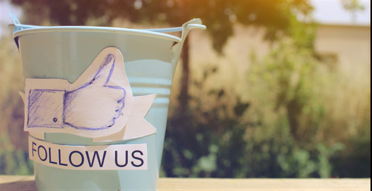 社交电商平台开发费用一般是多少？