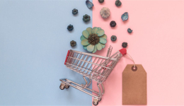 【TOP选品】旺季热卖产品推荐,快来get旺季选品思路!