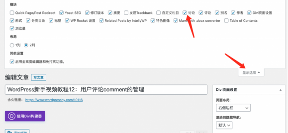 WordPress新手视频教程12：用户评论Comment的管理