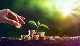 優(yōu)劣勢解析，跨境直郵、海外倉究竟選誰？