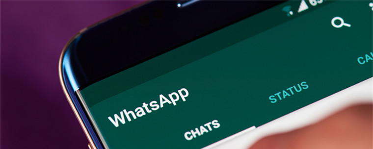whatsapp使用教程