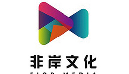 非岸文化KOL网红资源