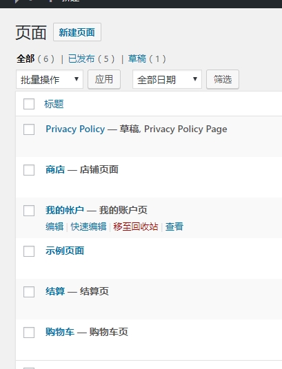 Woocommerce外贸独立站视频教程8：商城的自带默认页面介绍